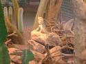 Terrazoo 011.jpg
